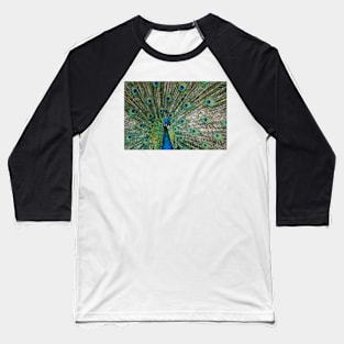 Peacock and feather display Baseball T-Shirt